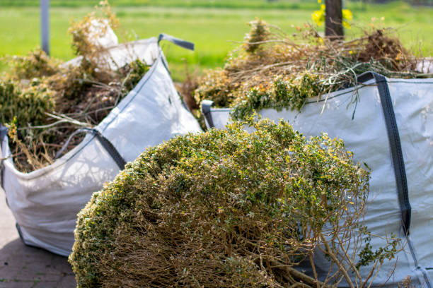 Best Garage Cleanout Services  in Lemon Grove, CA